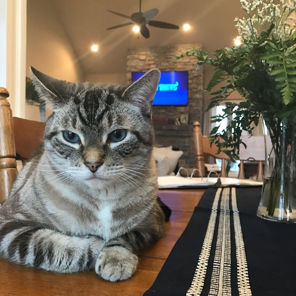 Meet your Posher, Leah